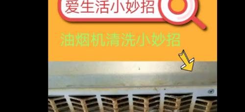 如何正确清洗油烟机（简单有效的清洁方法）
