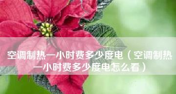 如何通过调节空调制热温度来节省电费（掌握合适的温度范围是关键）