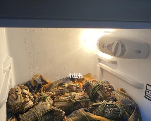 冰箱发酵失败的原因及解决方法（揭开冰箱发酵失败的秘密）