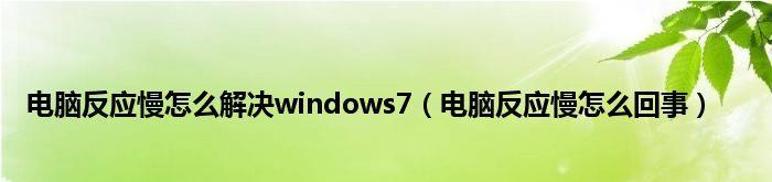 电脑运行缓慢问题解决方案（探索电脑运行缓慢的原因及优化方法）