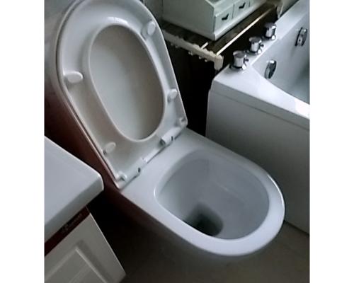 以什么东西堵法恩莎马桶最厉害（探究不同堵塞材料对法恩莎马桶的影响）