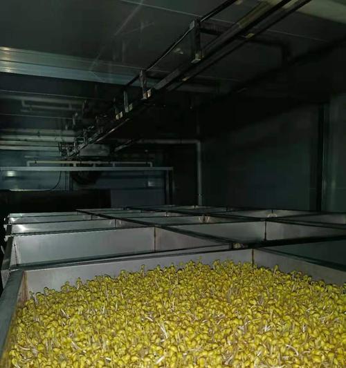 豆芽机底座清洗绝招，让您轻松解决难题（掌握这几招）