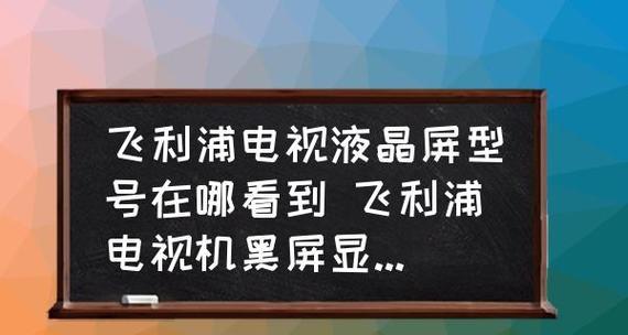 常见显示器屏幕黑屏问题及解决方法有哪些？（了解显示器屏幕黑屏的原因）