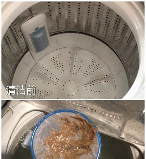 如何正确清洁洗衣机（简单易行的方法让您的洗衣机焕然一新）