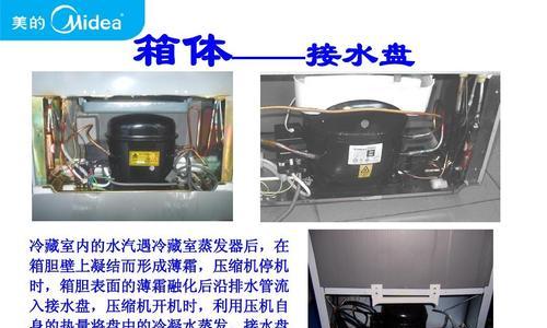冰箱顶部积水问题的解决方法（轻松应对冰箱顶部积水）