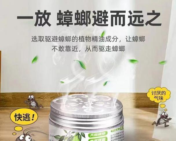 饮水机里总有蟑螂怎么处理？有效预防和清除方法是什么？