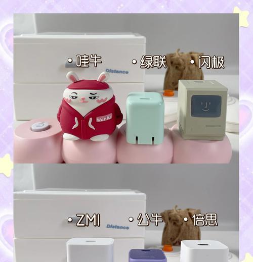 车上使用的充电器有哪些知名品牌？如何选择合适的充电器？