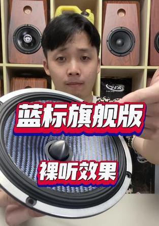 豪车配备低音炮的原因是什么？低音炮对音质有何影响？