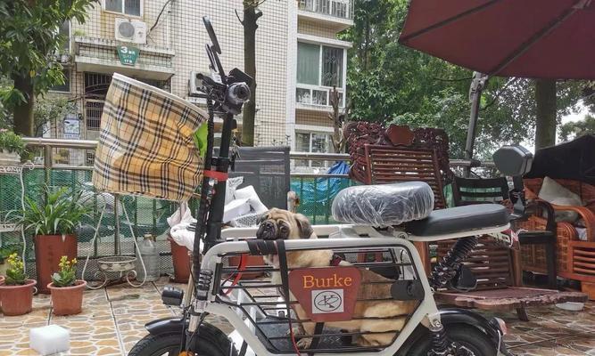 家庭安装电瓶车的步骤是什么？